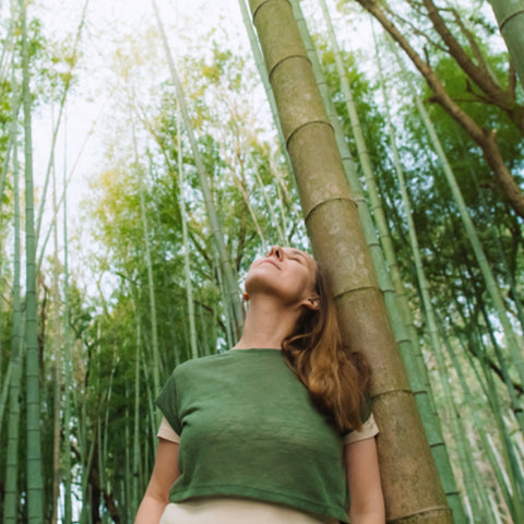 Bamboo Cool