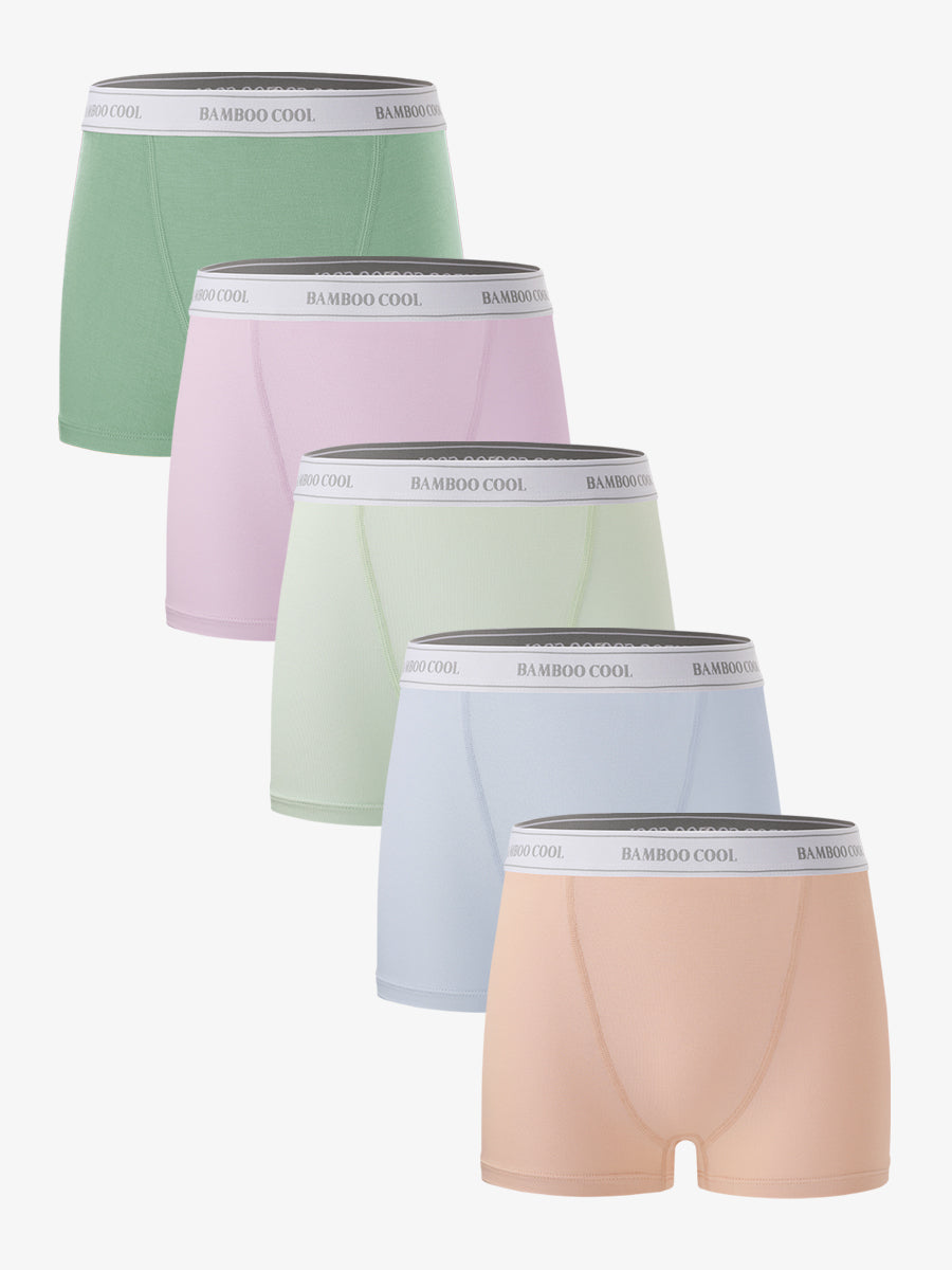 Bamboo Women's Briefs Boyshorts 5 Pack